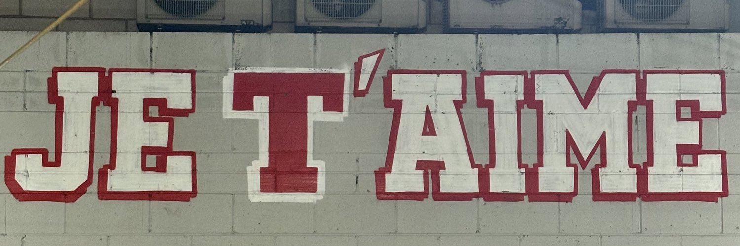 Big Rhi (MSc) banner