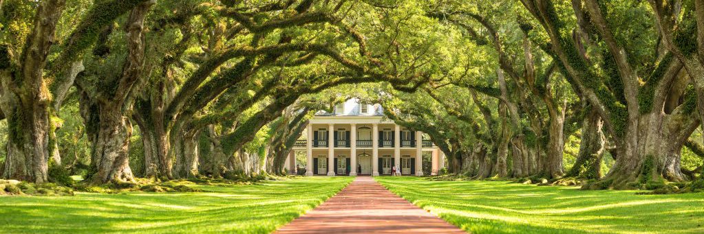 Southern Cavalier 🌴's banner
