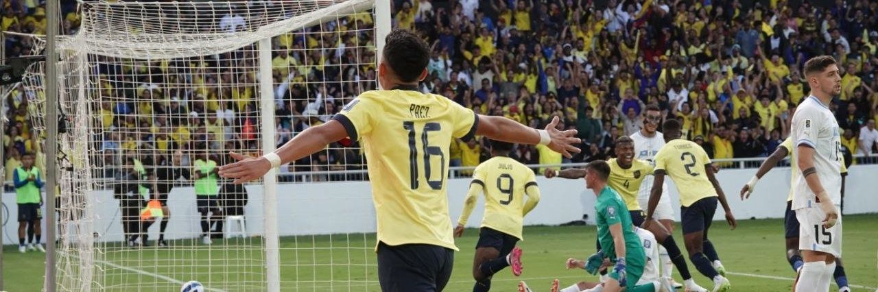 utdmauri's profile banner image