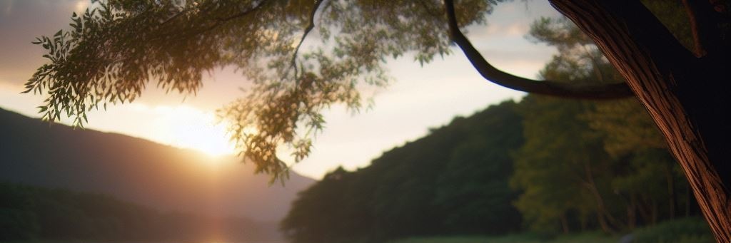 ritwj11's profile banner image