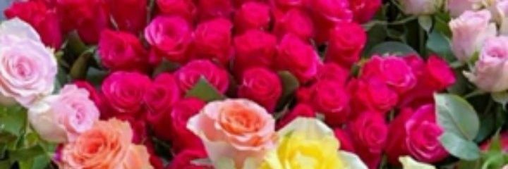 🦋𝐑ᴀsʜɪᴅᴀʜ🦋's banner