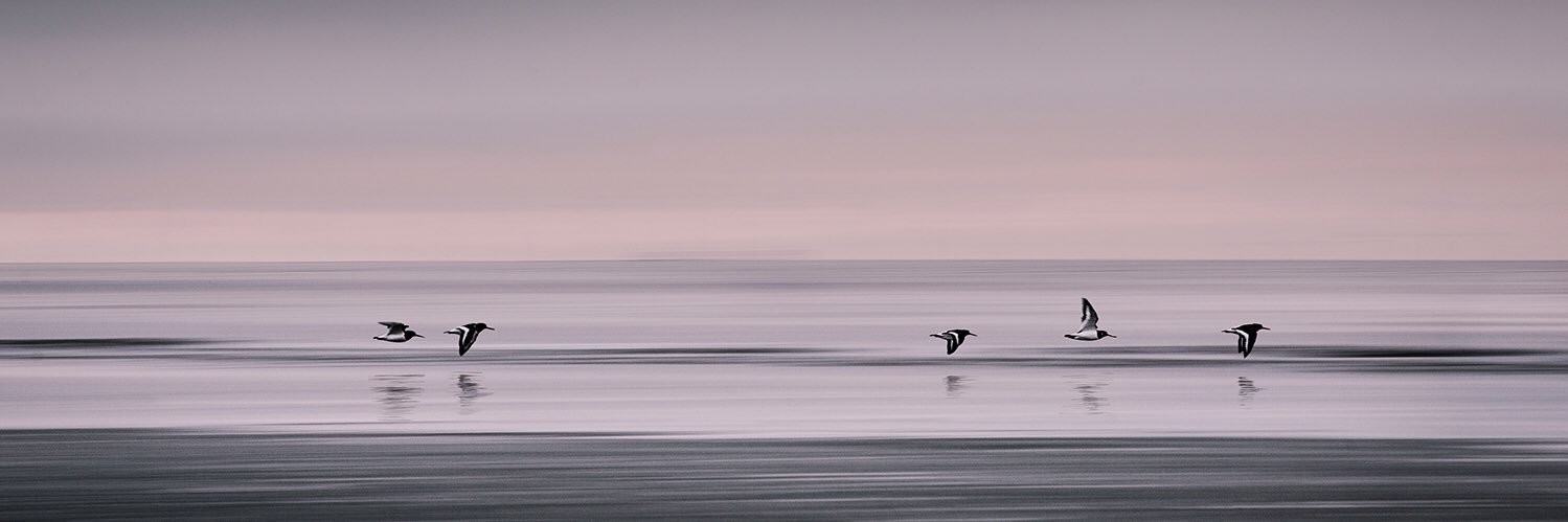 Rob Whitrow - Photographer banner