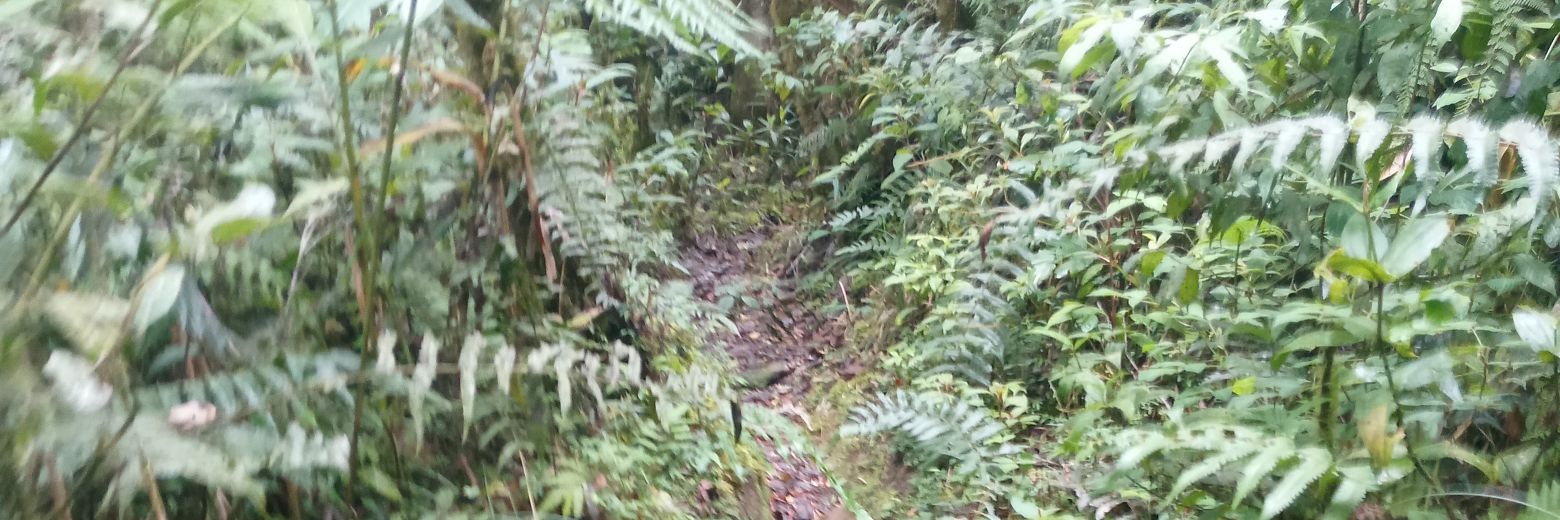 Eddie O ᅠᅠᅠᅠᅠᅠᅠ EDZᅠᅠᅠᅠᅠᅠᅠᅠᅠᅠᅠᅠᅠᅠᅠᅠᅠᅠᅠᅠᅠ banner