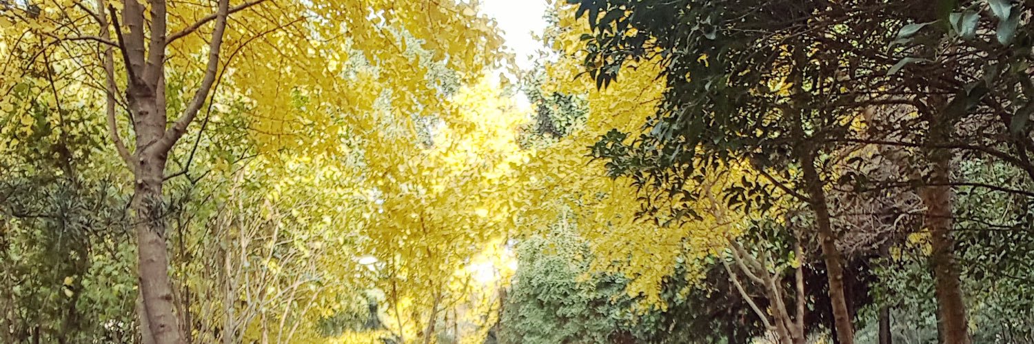 Andreamar1611's profile banner image