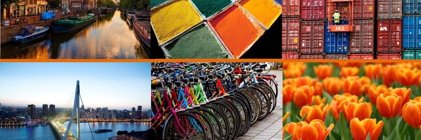 NFIAIndia's profile banner image