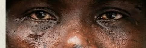 Free Biafra ⛅️🐆 banner