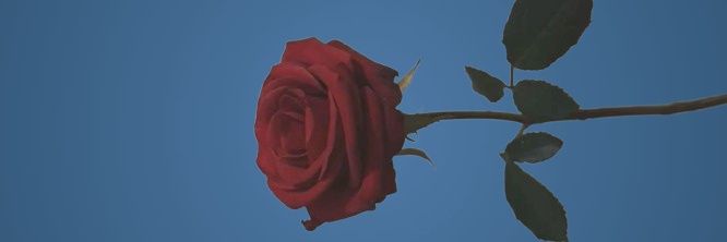 Sun_irisx's profile banner image