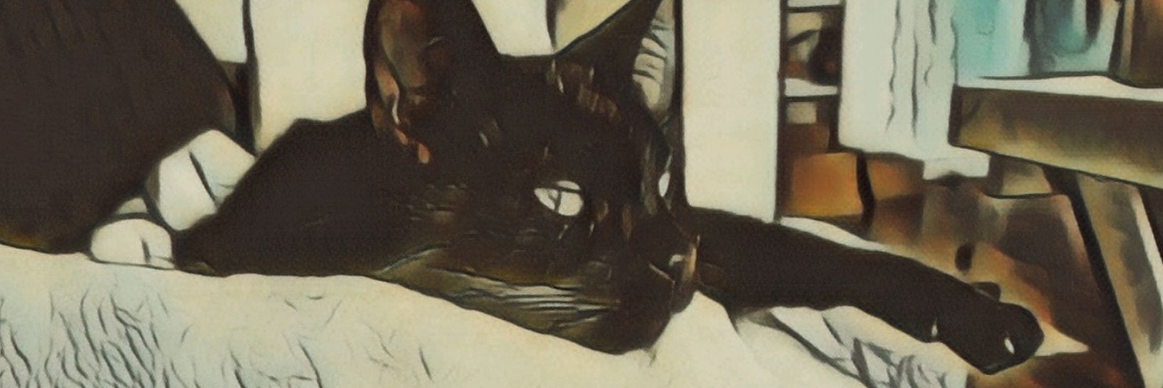 MartaMhg's profile banner image