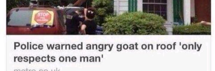 Marcus, I guess's banner