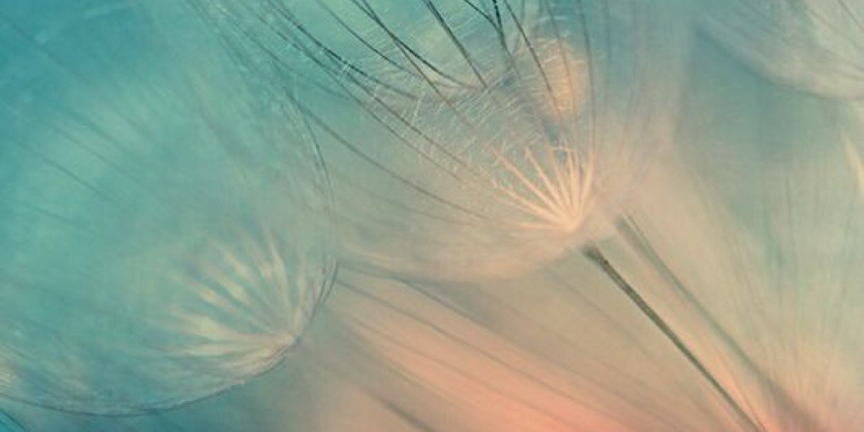 sound0105's profile banner image