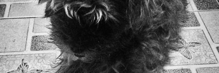 🚫 banner