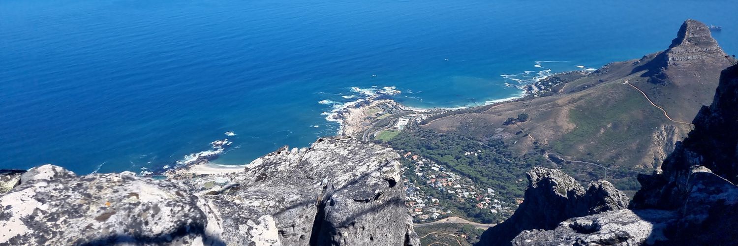 Scott Chisholm banner