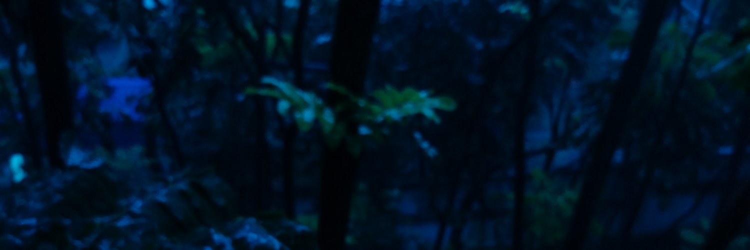 Hindu311's profile banner image