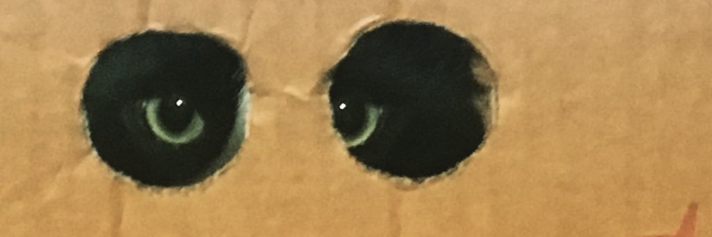 jimibeavis's profile banner image