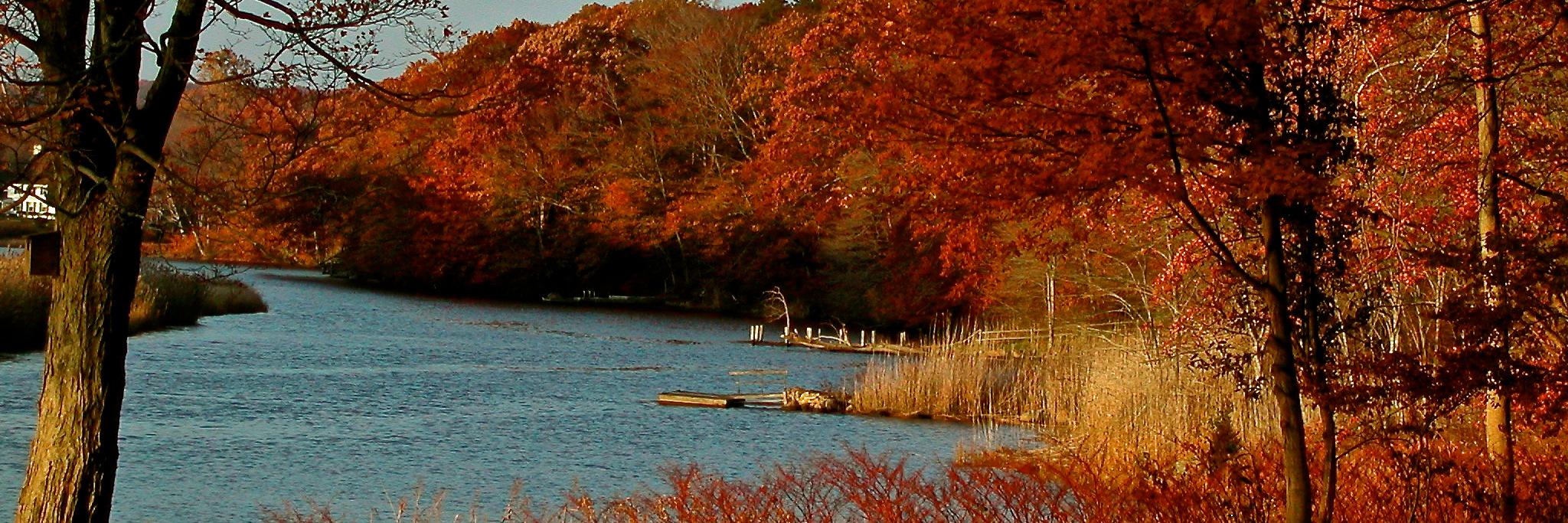 Henry Soch 🇺🇦 banner
