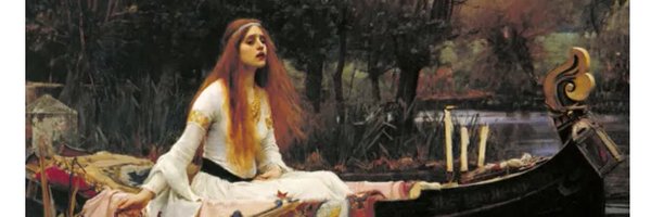 chilternbear11 Profile Banner