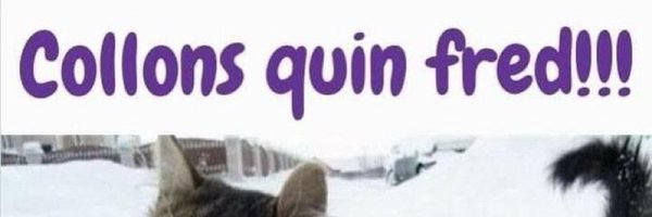 manutrill0 Profile Banner