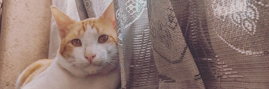 Titatia's profile banner image