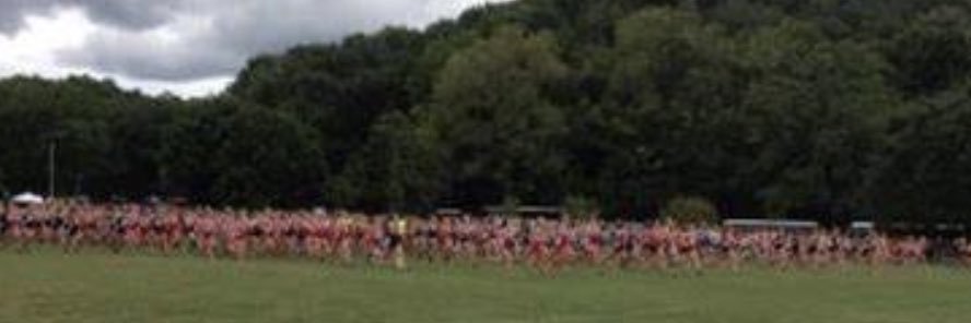 Roxana Cross Country banner