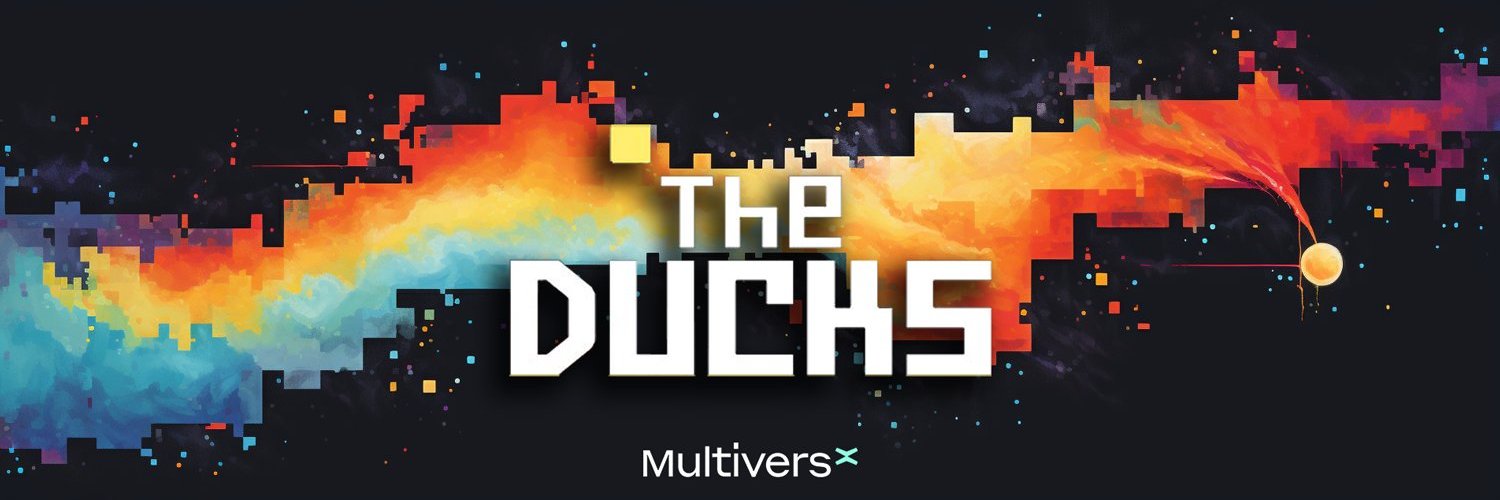 The Ducks Profile Banner