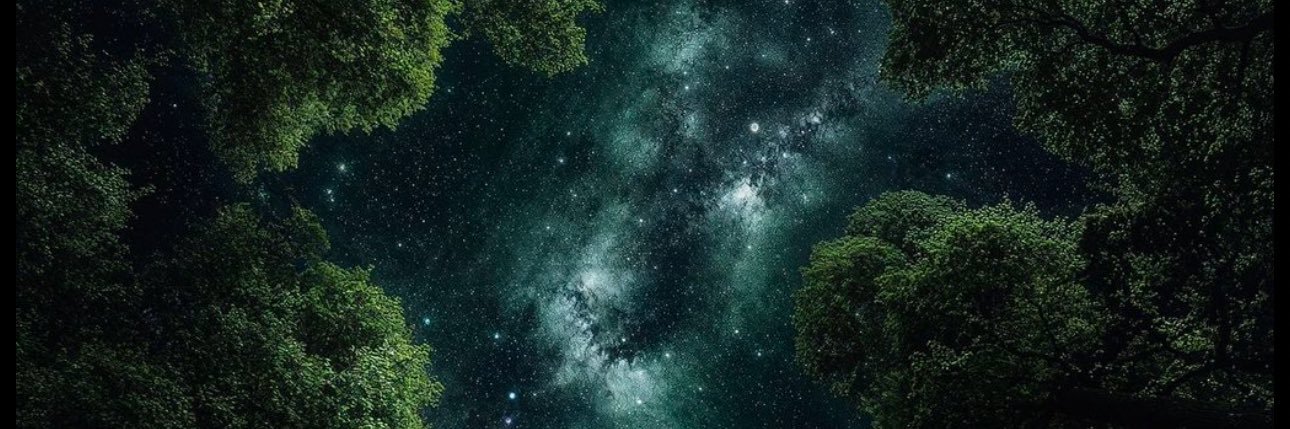 Fr0ggy019's profile banner image