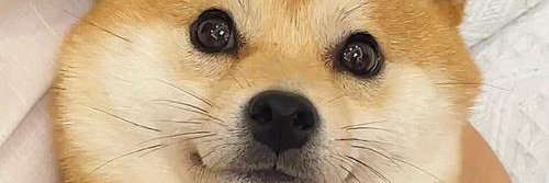 eden7999's profile banner image