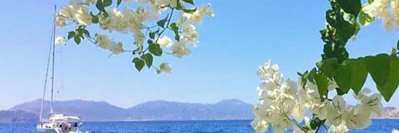 G banner