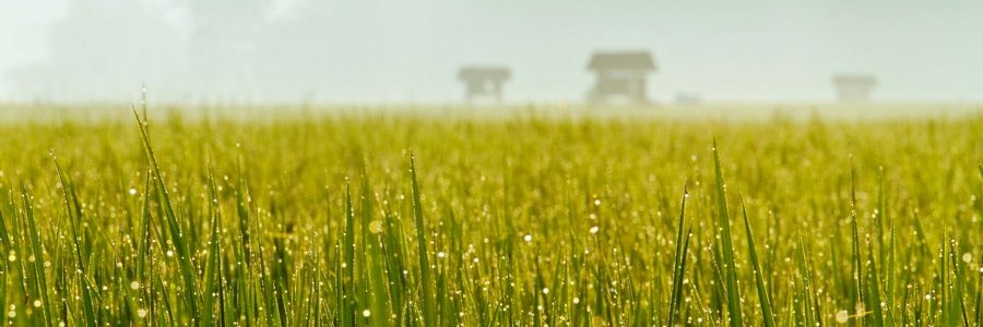 burniadi's profile banner image