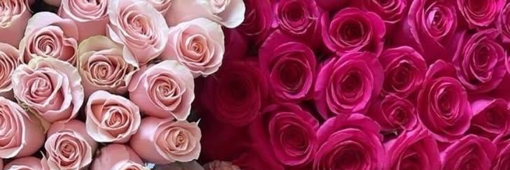 PrettyInPoise37's profile banner image
