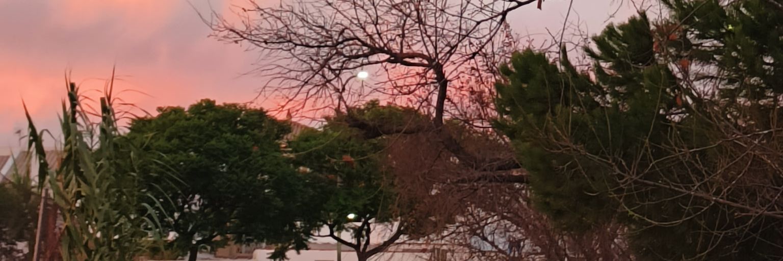 JFArenillas's profile banner image