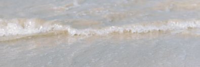 Deborah03367642's profile banner image