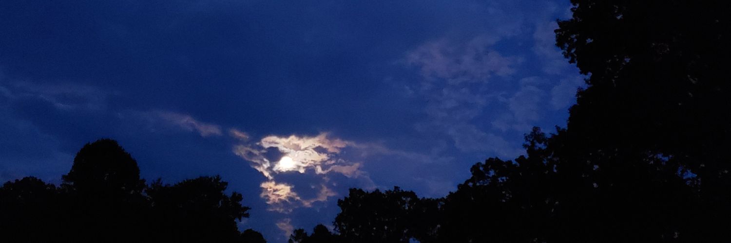David Moore banner