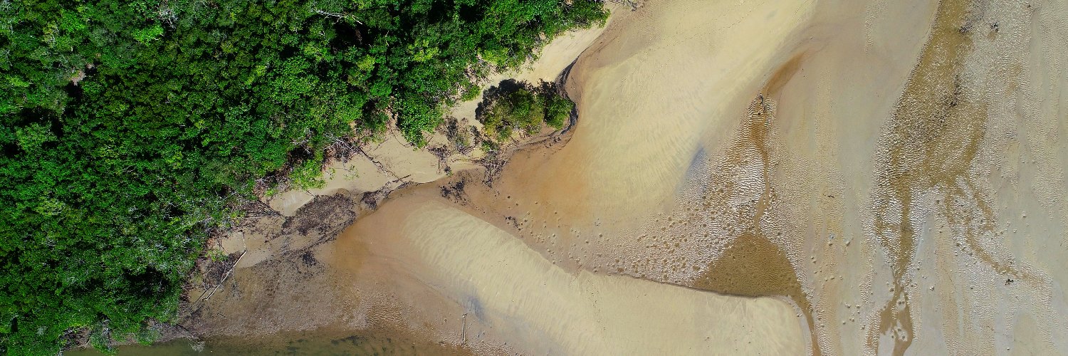 DamesOfDrones banner