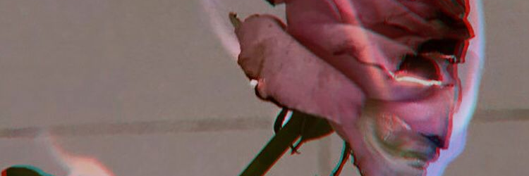 lurdemman's profile banner image