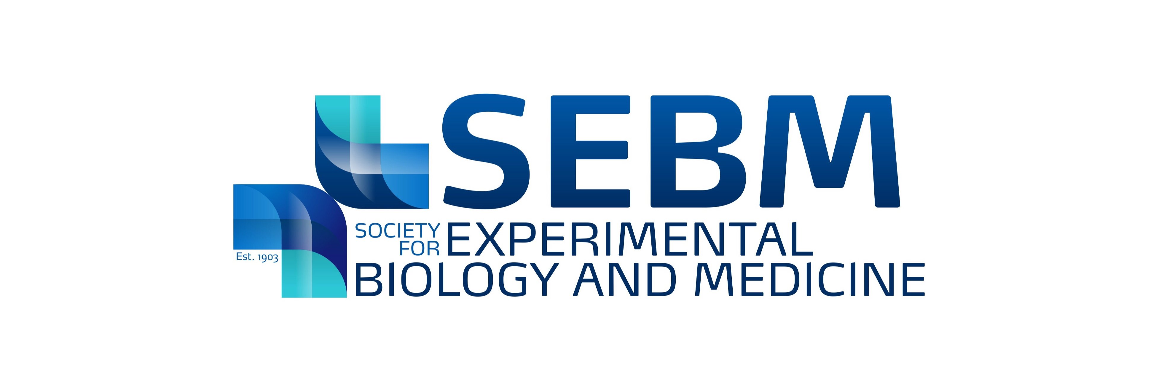 SEBM's banner
