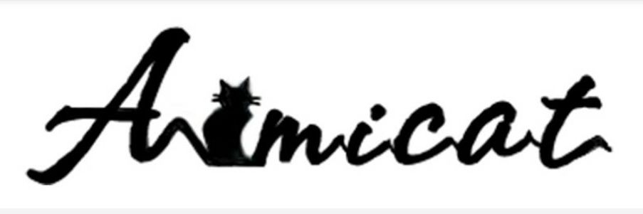 エイミー banner