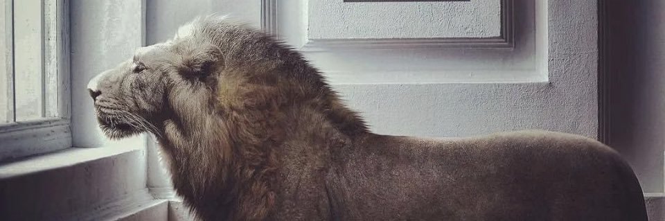 MrMikeyW's profile banner image