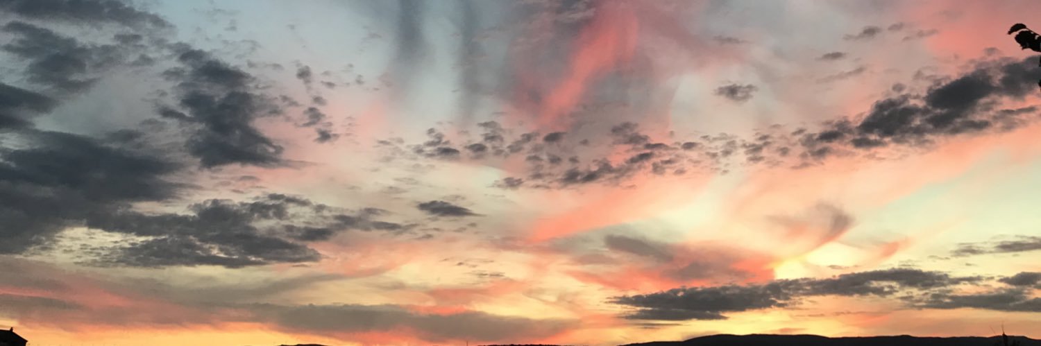 Mariangulilla's profile banner image