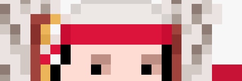 elpolaconft's profile banner image