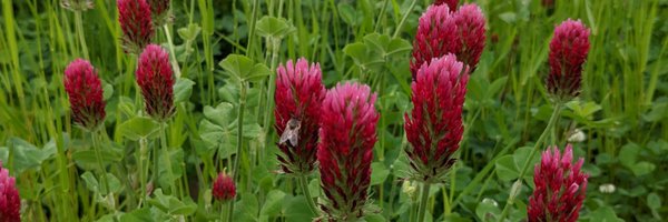 Acuteremod Profile Banner