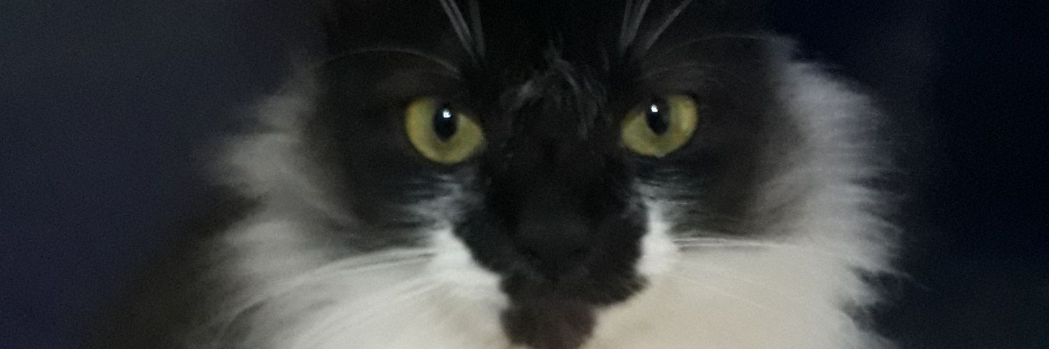 luisa_braghieri's profile banner image