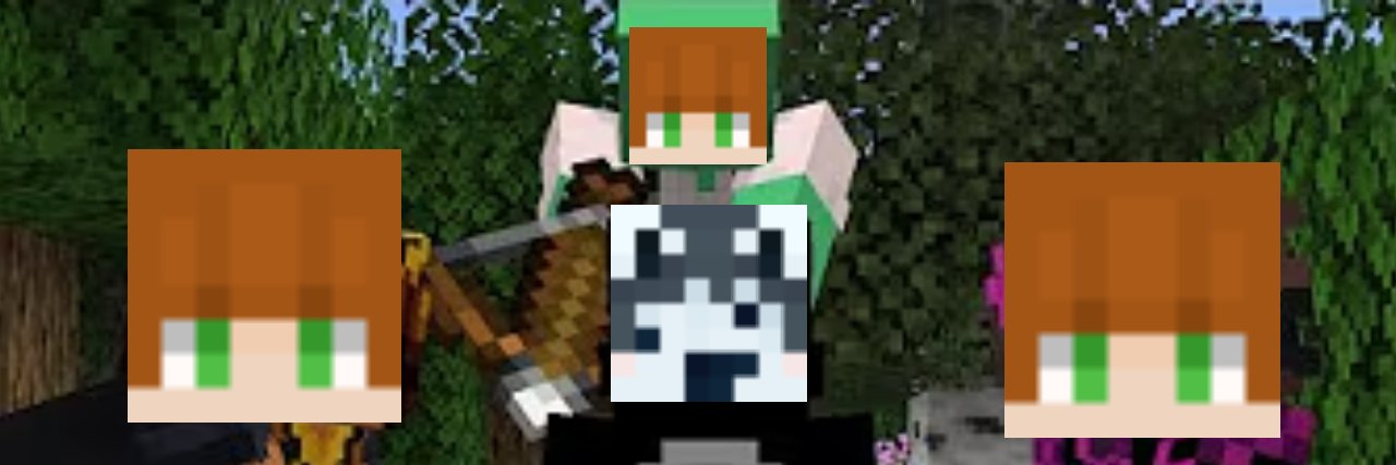 ny banner