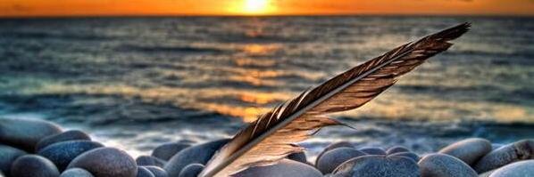 31nelly's profile banner image