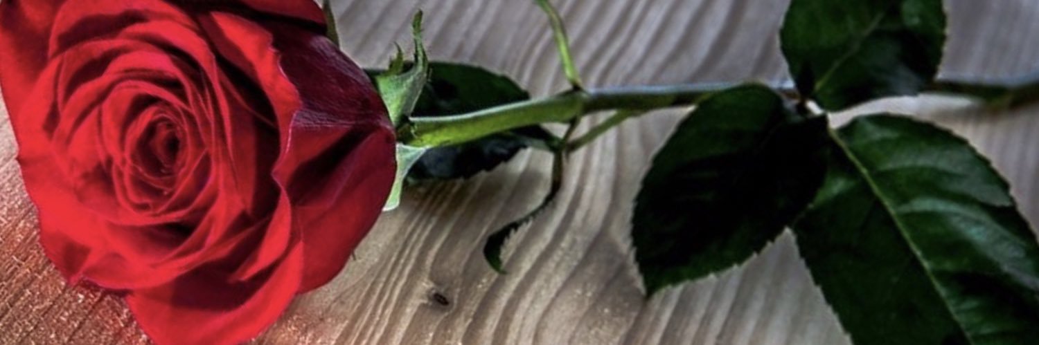 Stacey_iwuu's profile banner image