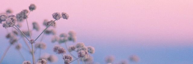 9515_Nada's profile banner image
