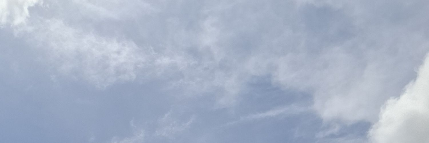 yelljelly banner