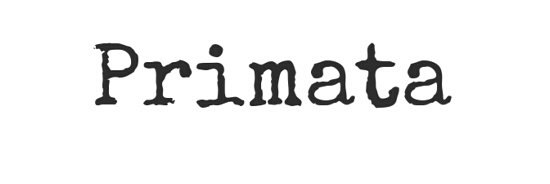 Primata_30's profile banner image