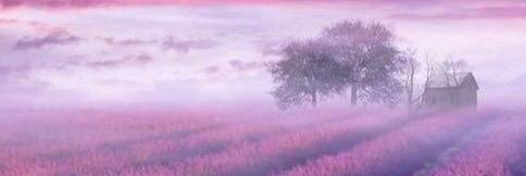 cheryljf's profile banner image