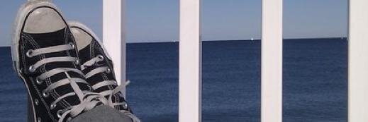 Dr. Liz Larkin banner