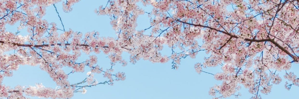 RahayuChristy's profile banner image